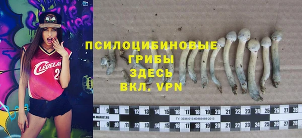 ALPHA-PVP Армянск