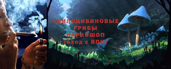 тгк Арсеньев