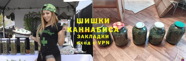 тгк Арсеньев