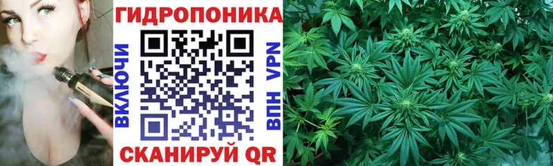 гидра зеркало  Чудово  Марихуана Amnesia 